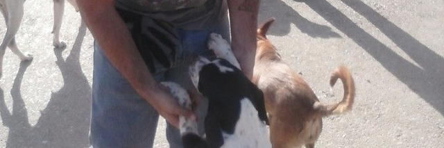 Cover image for post Human, by Schrieben_Wulf