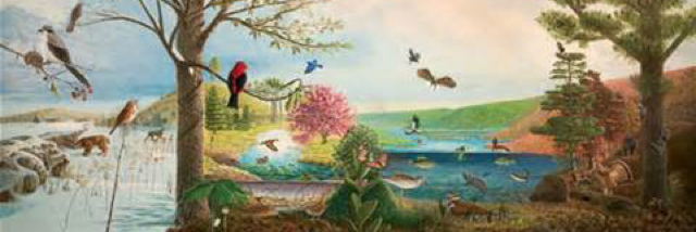 Cover image for post Wildfires and Stars, by Rev_Frenchie