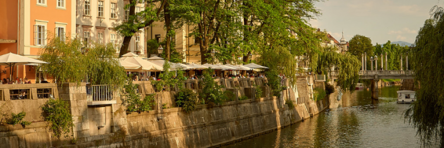 Cover image for post Ljubljana, una città verde, by bettyb