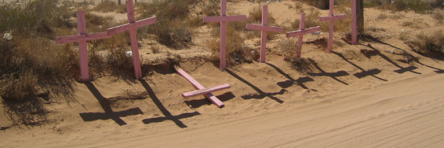 Cover image for post Serpiente Oculta, by jhardycarroll