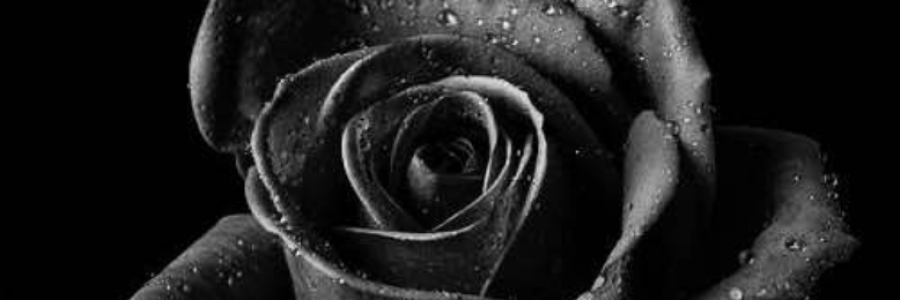 Cover image for post Because you were loved, by Safaa