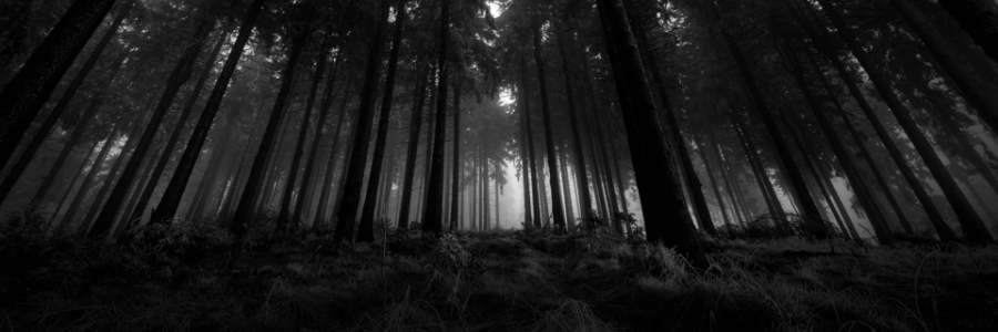 Cover image for post Still here, by Whisper