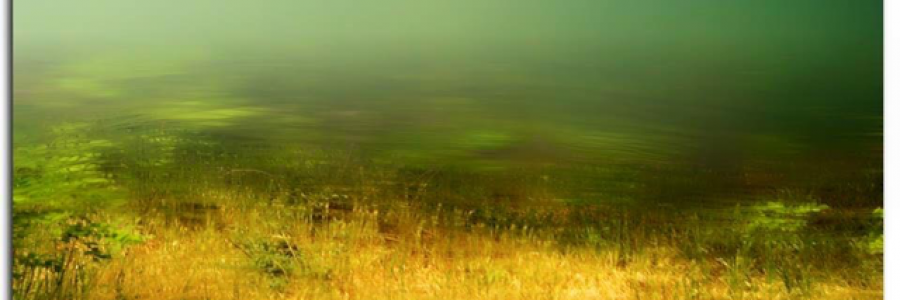 Cover image for post Hell must be empty., by Misplacedpoems