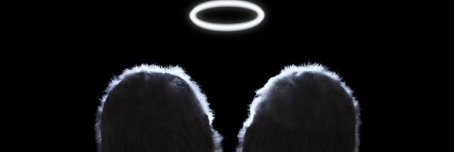 Cover image for post Kelly's Story.., by MarissaAlbanoo