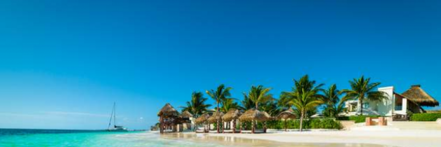 Cover image for post Chicharones, by BonnieBoo