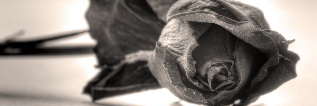 Cover image for post Not his Juliet, by nerdyandwordy