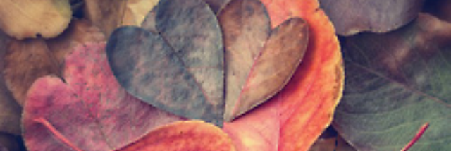 Cover image for post Mates, by amber_lynne