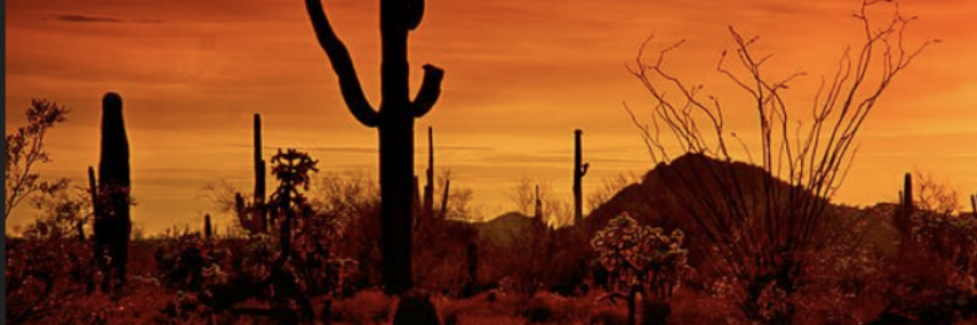 Cover image for post The End and the Beginning, by Joy_29