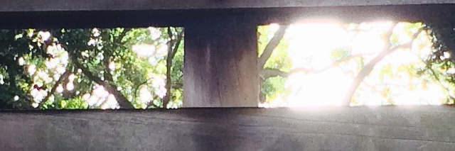 Cover image for post kochijoji, by modteis