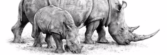 Cover image for post Rhinoceros, by minneapolis