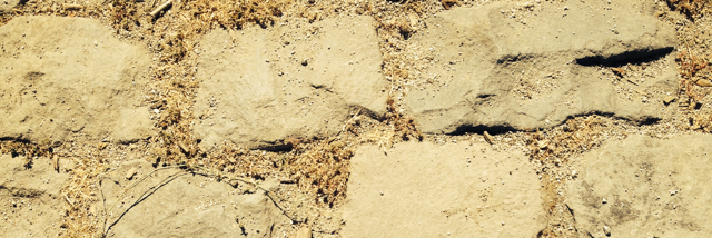 Cover image for post Calm Places, by Beth