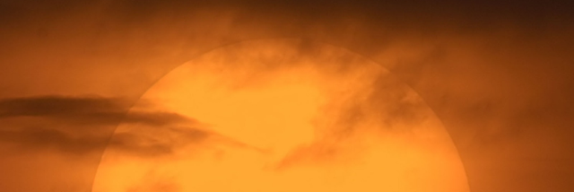 Cover image for post Fight With A Citrus, by Beth