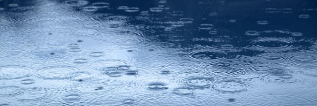 Cover image for post My family, by Blondie