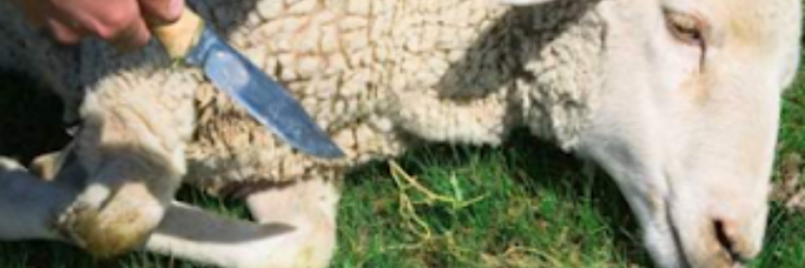 Cover image for post Drink Deep...Drink Thoroughly (They Say), by Bunny