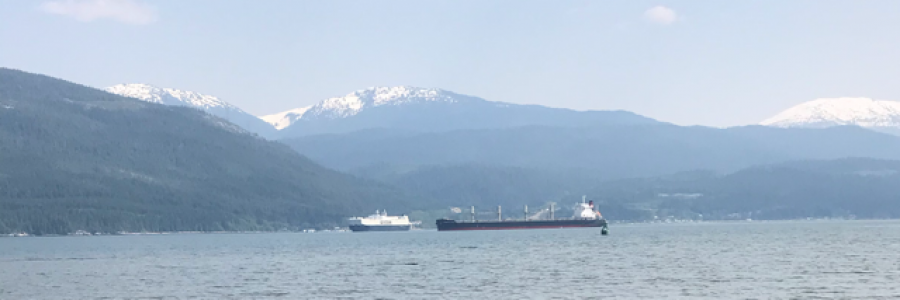 Cover image for post Untitled, by Tuskntale