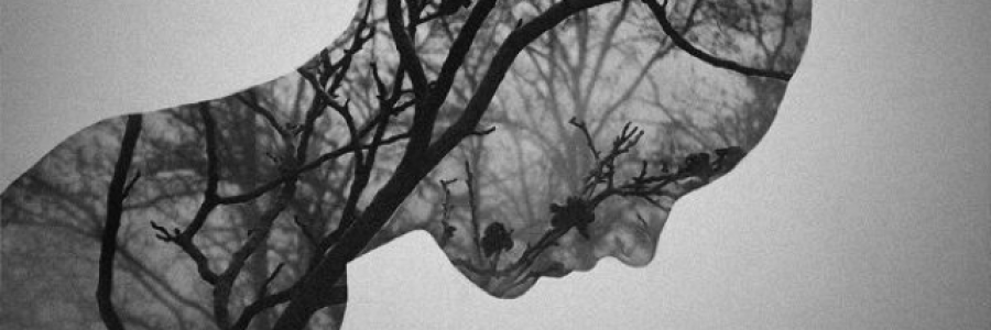 Cover image for post Built in the holler., by Genshomer