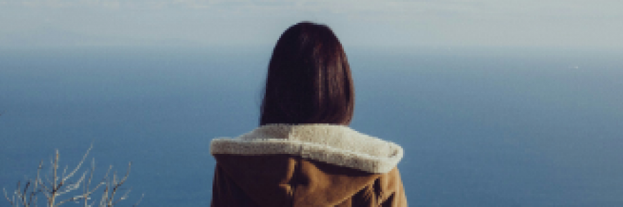 Cover image for post Searching, by 2Bamboopanda