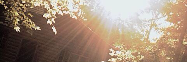 Cover image for post Blank, by AnnaMae7784