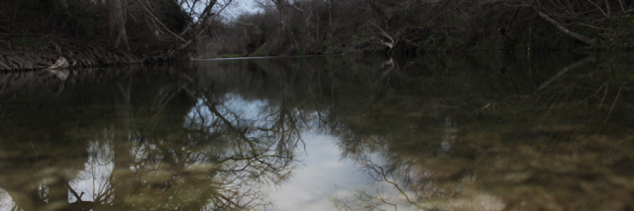 Cover image for post Smile., by LoganDonovan8