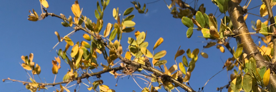 Cover image for post Untitled, by Sunchaser