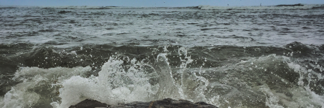 Cover image for post scatterbrained., by braydenbosch