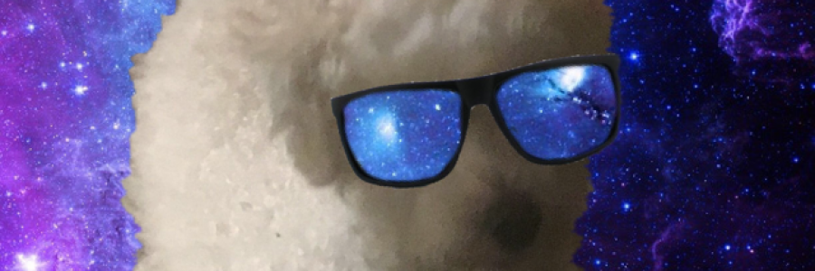 Cover image for post Classify, by alex_russo113