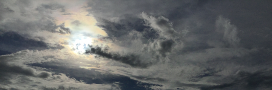 Cover image for post Revolution, by emeraldcherry