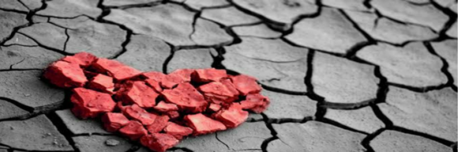 Cover image for post >>–Paving-My-Way–>, by CreativeChaos