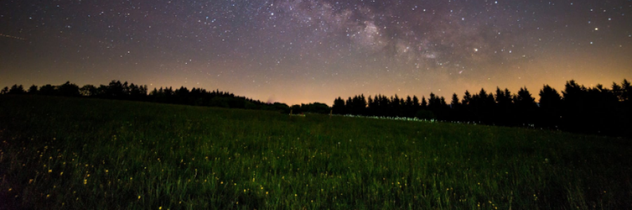 Cover image for post Nights on the Veranda, by HeatherAnn