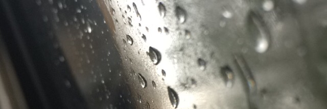 Cover image for post Flourish, by Lambyisthe1