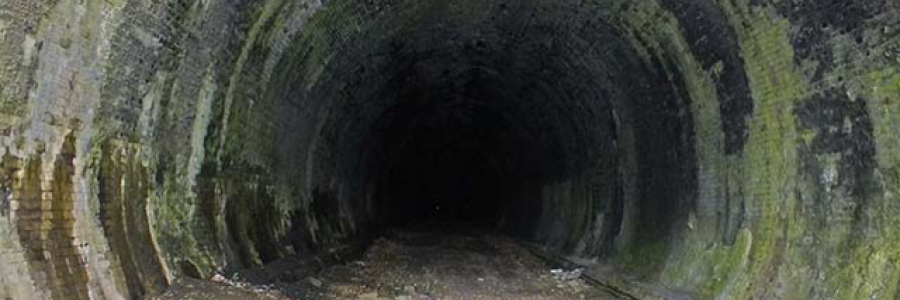 Cover image for post COUNTING IN THE DARK, by SVeilleux