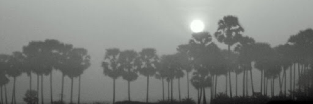 Cover image for post “No Quote”, by Mauricio