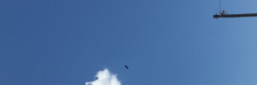 Cover image for post Who are you?, by RainbowUnicorn