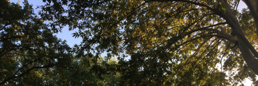 Cover image for post We Were Children Once, by emeraldcherry