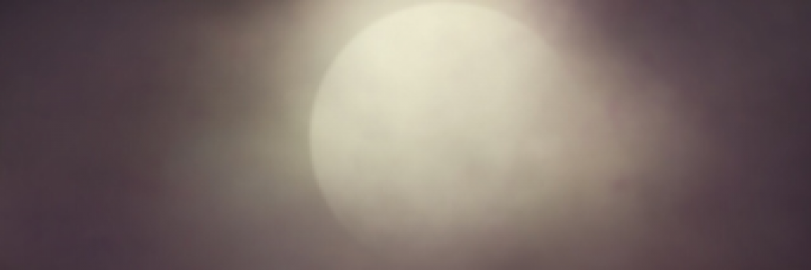 Cover image for post tryst, by IvyBee