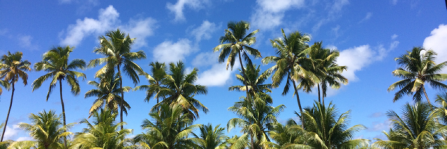 Cover image for post Enjoy the journey, by Skywriting