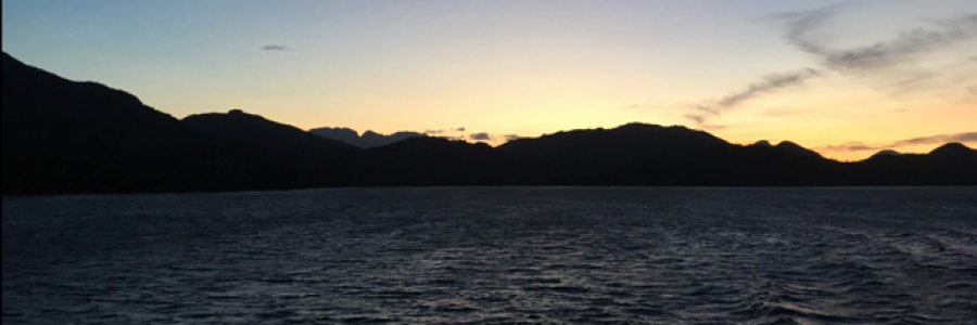 Cover image for post Lonely Sailor, by emeraldcherry