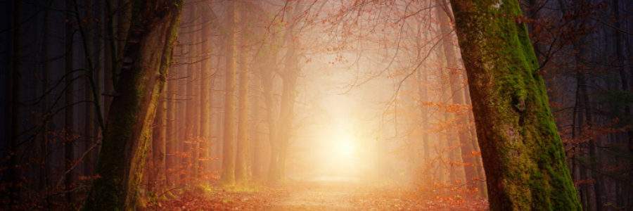 Cover image for post Liminality, by HeatherAnn