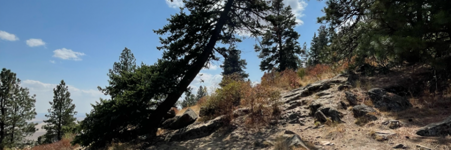 Cover image for post I start to open up... Then I shut down., by Come_an_go