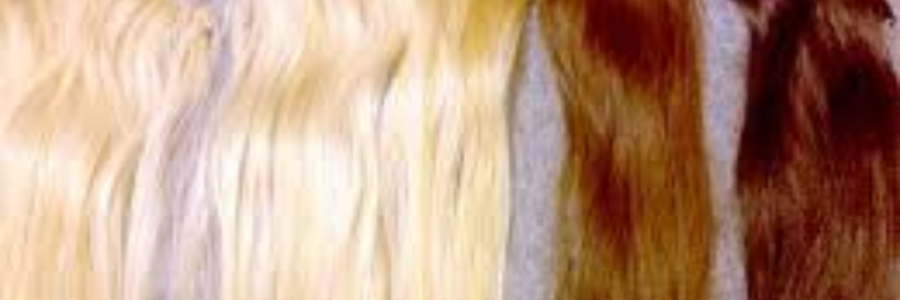 Cover image for post Hairlooms (No More Room), by sandflea68