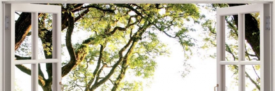 Cover image for post The Novel, by Lovehurts