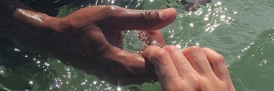 Cover image for post Untitled, by KRIOS