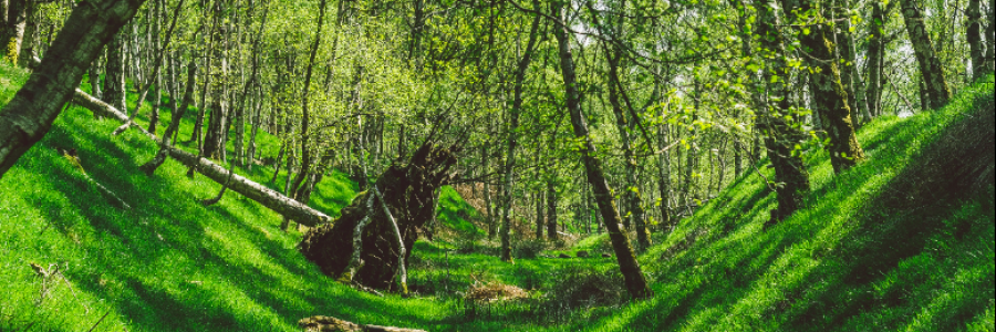 Cover image for post Untitled, by ClaraJohnson