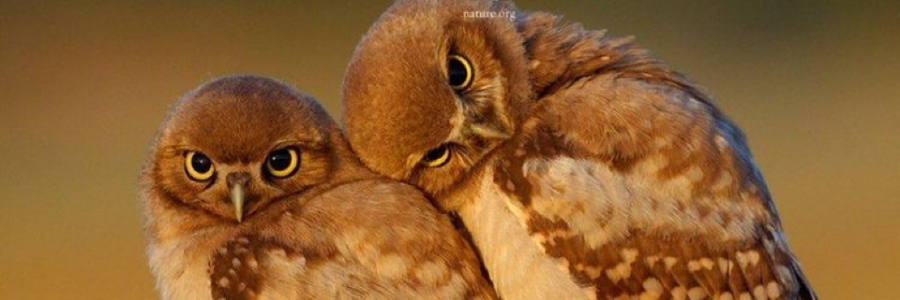 Cover image for post Loving, by Vyxyn