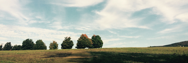 Cover image for post My mom is..., by gregromein