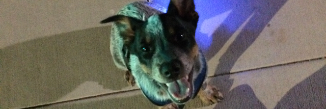 Cover image for post Bones, by Schrieben_Wulf