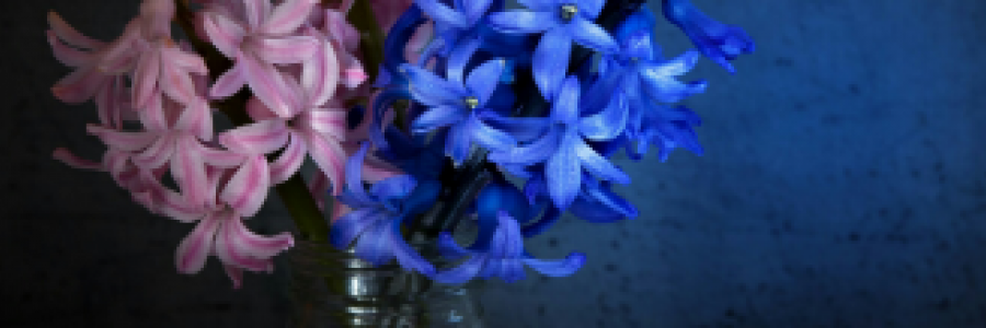 Cover image for post I'm Sorry, by 2Bamboopanda