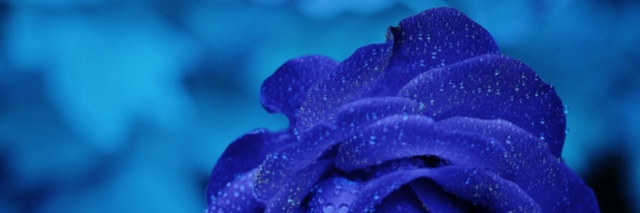 Cover image for post Boundless Eternity, by BlackHandmade