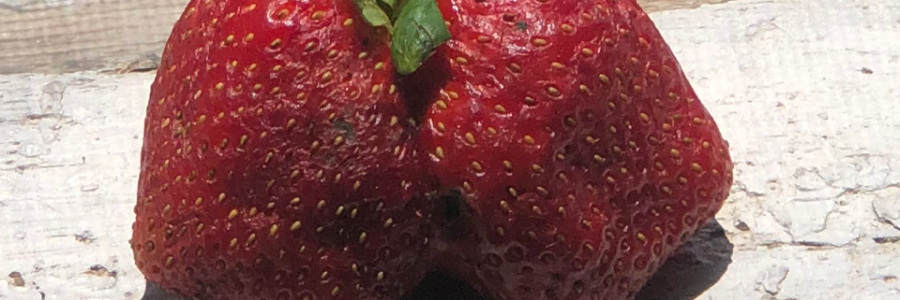 Cover image for post What if, by nijahwrites