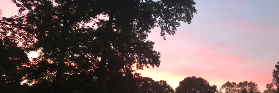 Cover image for post Truth, by Azayta